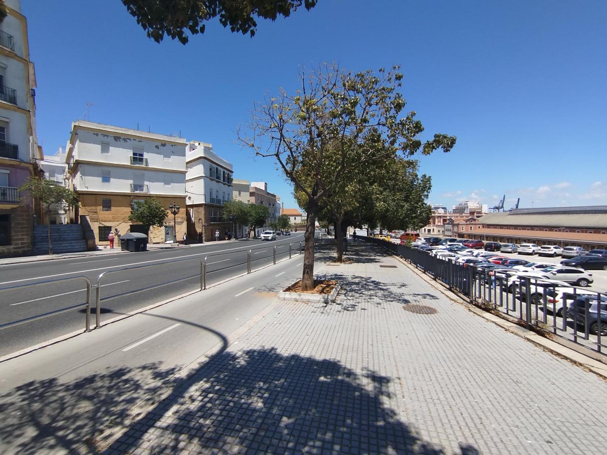 Loft En Corazon De By C.dreams Apartament Cadis